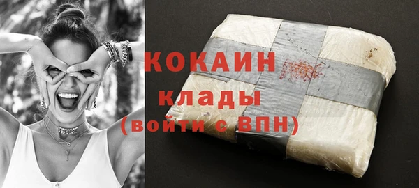 шишки Медногорск