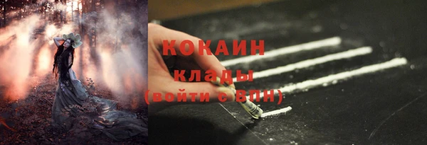 шишки Медногорск