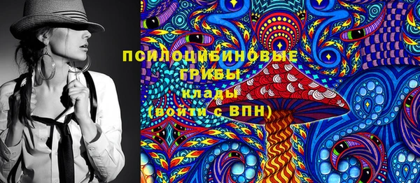 шишки Медногорск