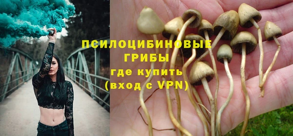 шишки Медногорск