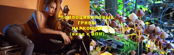 прущая мука Мегион