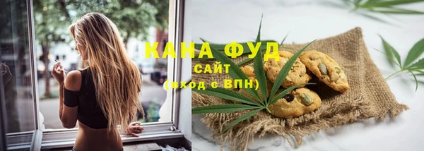 шишки Медногорск